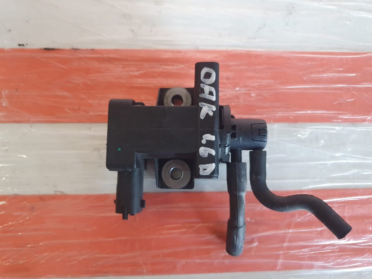 WhatsApp Image 2025-07-31 at 11.34.00 WhatsApp Image 2025-07-31 at 11.34.00