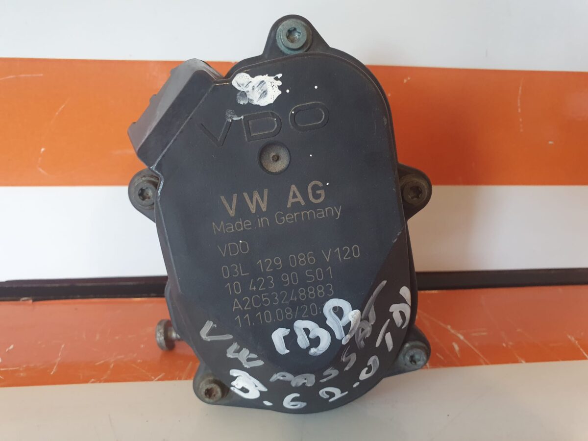 WhatsApp Image 2025-07-31 at 13.37.50