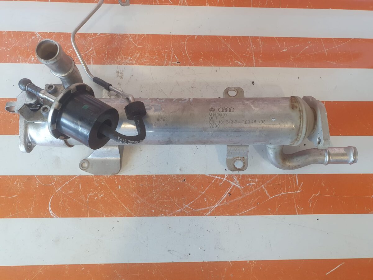 WhatsApp Image 2025-08-01 at 11.32.11