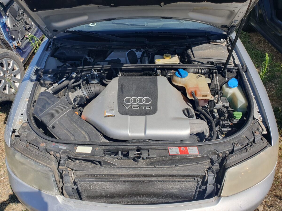 WhatsApp Image 2025-08-12 at 11.54.14