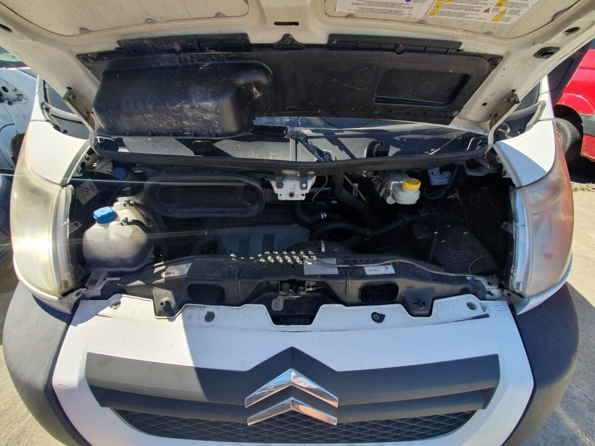 WhatsApp Image 2025-08-12 at 12.10.53