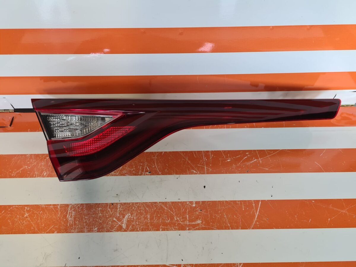 WhatsApp Image 2026-02-13 at 11.49.18